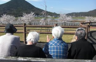 （特養）散歩三上山イメージ